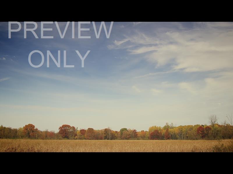 FALL COLORS BLUE SKY