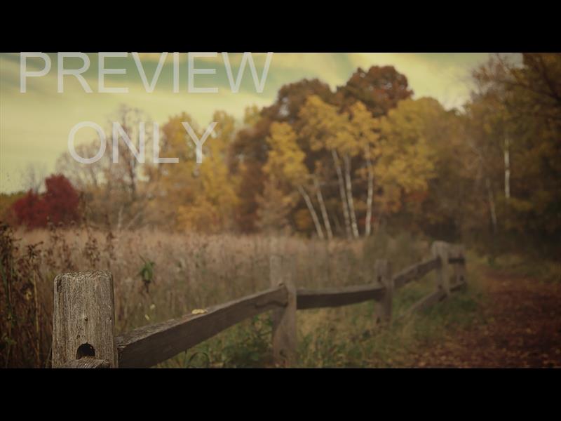 FALL COLORS FENCE TREES