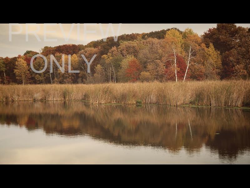 FALL COLORS WATER REFLECTIONS