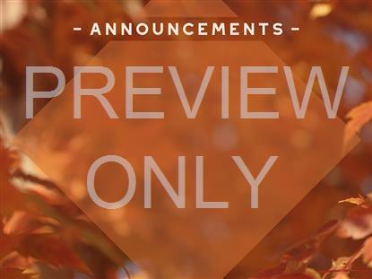 FALL FOCUS ANNOUNCEMENTS