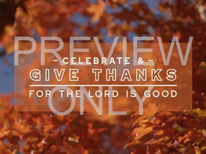 FALL FOCUS GIVE THANKS