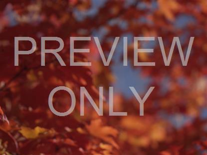 FALL FOCUS RED ORANGE