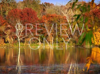 FALL FOOTAGE AUTUMN LAKE