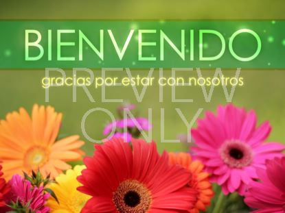 FLORES BRILLANTES BIENVENIDO