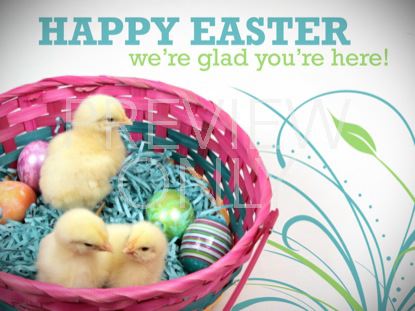 HAPPY EASTER BABY CHICKS