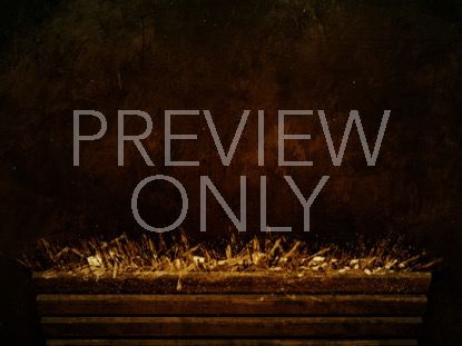 HOLY NIGHT MANGER WARM