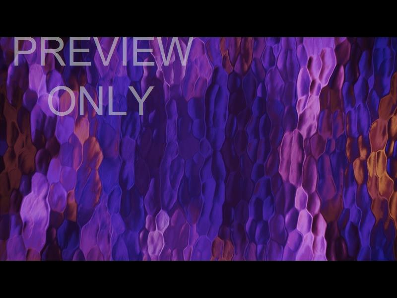 LUCENT ORANGE PURPLE PINK STILL