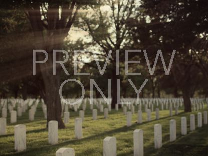 MILITARY CEMETERY, FOREST RAYS