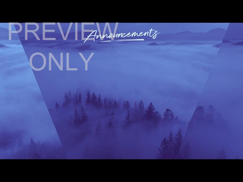 MISTY PINES ANNOUNCEMENTS STILL