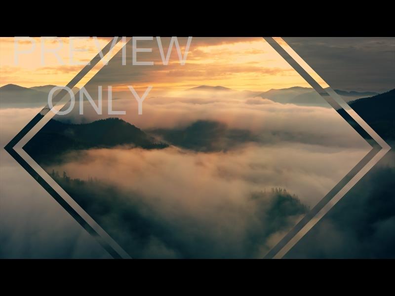 MISTY PINES GOLDEN SUNSET STILL