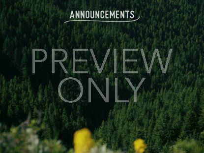 MOUNTAIN PINES ANNOUNCEMENTS