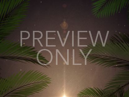 PALM SUNDAY JERUSALEM SCROLLING