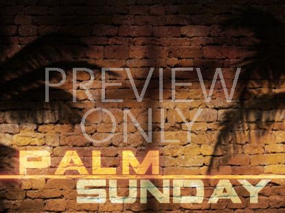 PALM SUNDAY SHADOW WALL