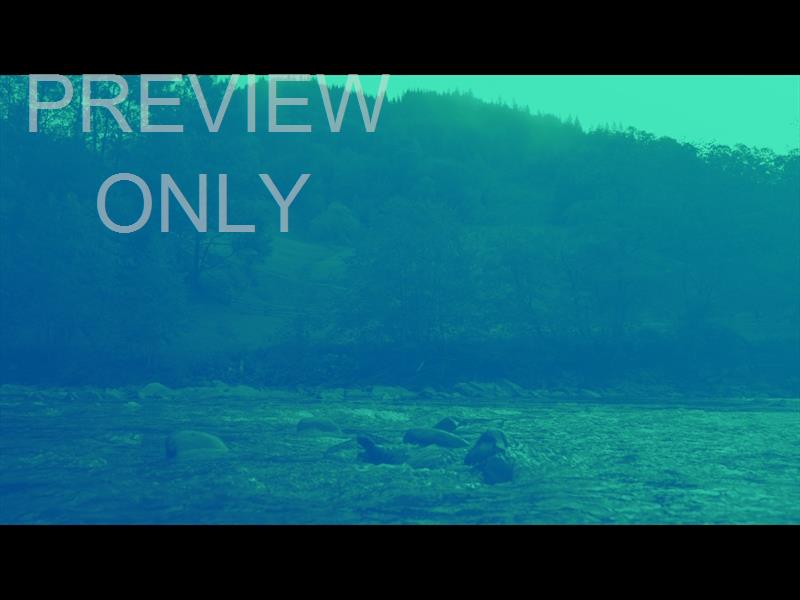 RIVER ROCKS BLUE GREEN HILLS