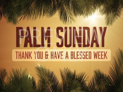 SKY VIEW PALM SUNDAY THANKS