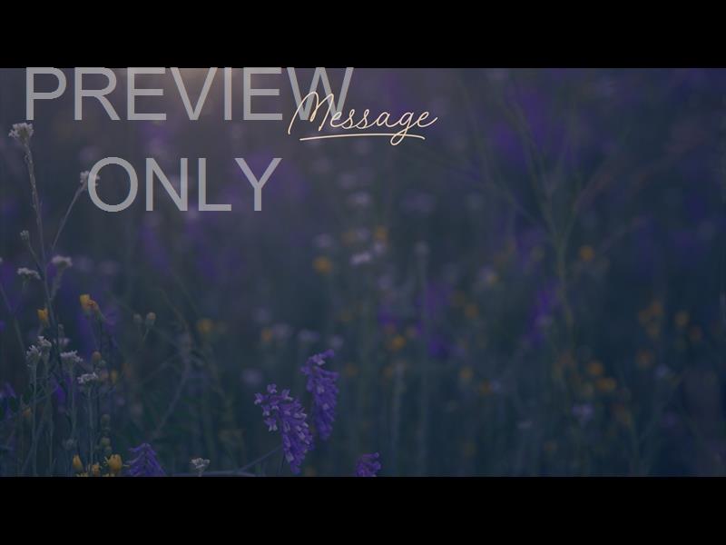 SUMMER WILDFLOWER MESSAGE