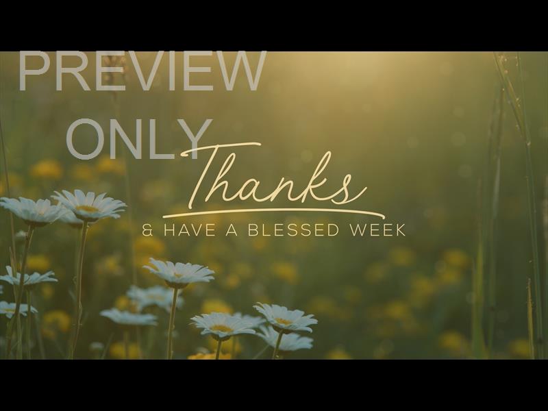 SUMMER WILDFLOWER THANKS