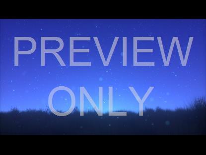 SUMMER FIREFLIES BLUE FIELD