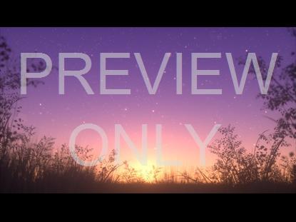 SUMMER FIREFLIES GOLDEN SUNSET