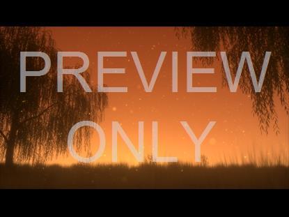 SUMMER FIREFLIES GOLDEN WILLOW