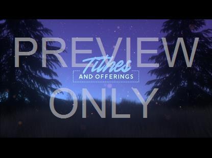 SUMMER FIREFLIES OFFERING