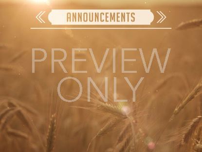 SUMMER WHEAT ANNOUNCEMENTS