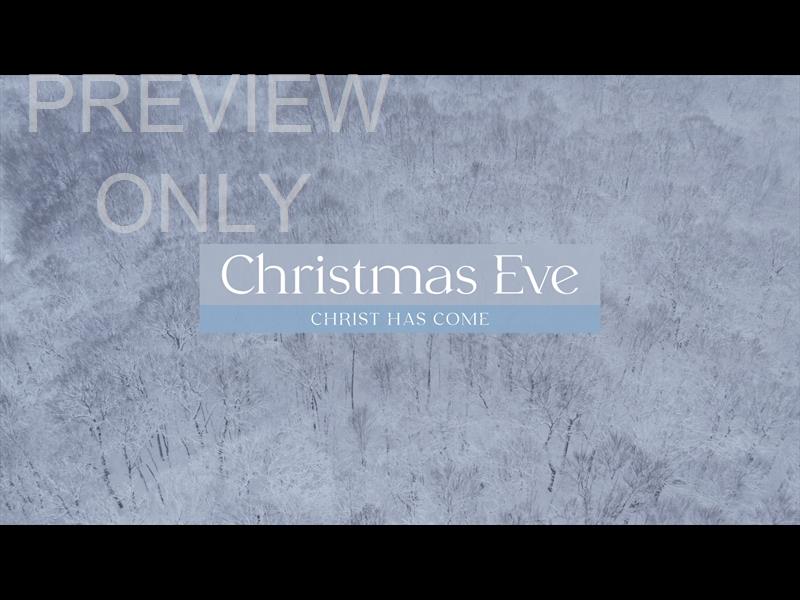 WINTER WOODS CHRISTMAS EVE STILL