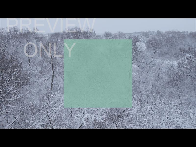 WINTER WOODS CLOSE TREES SQUARE STILL