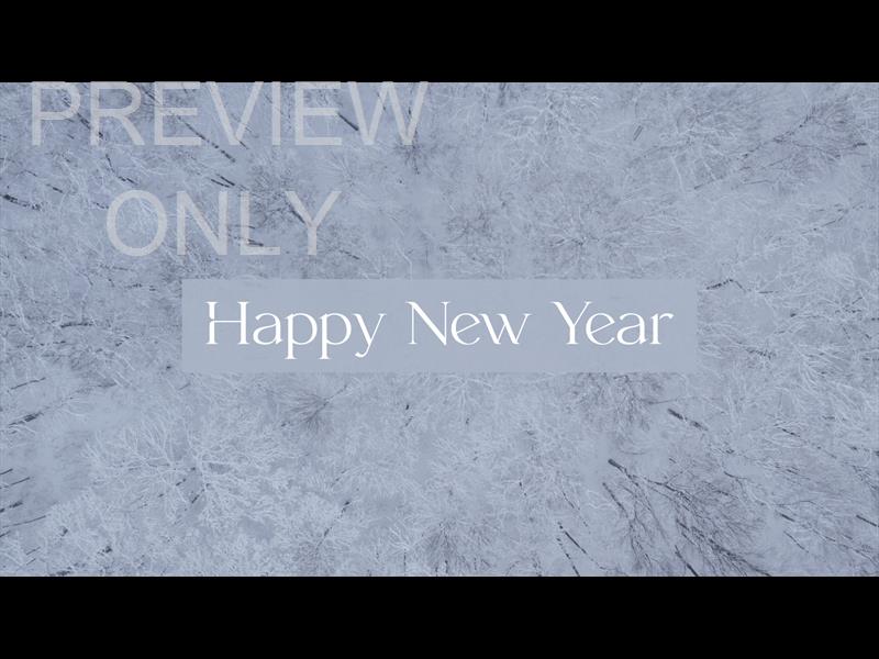 WINTER WOODS HAPPY NEW YEAR STILL