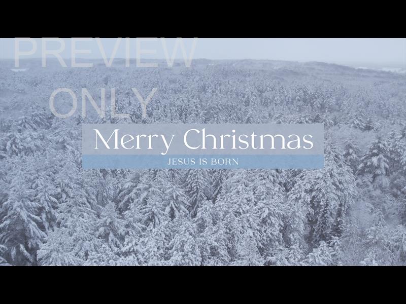 WINTER WOODS MERRY CHRISTMAS STILL