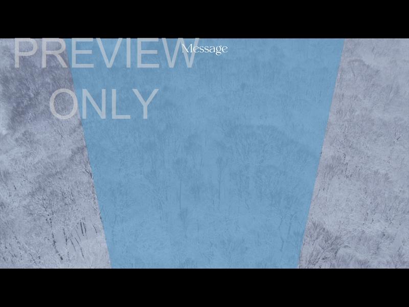 WINTER WOODS MESSAGE STILL