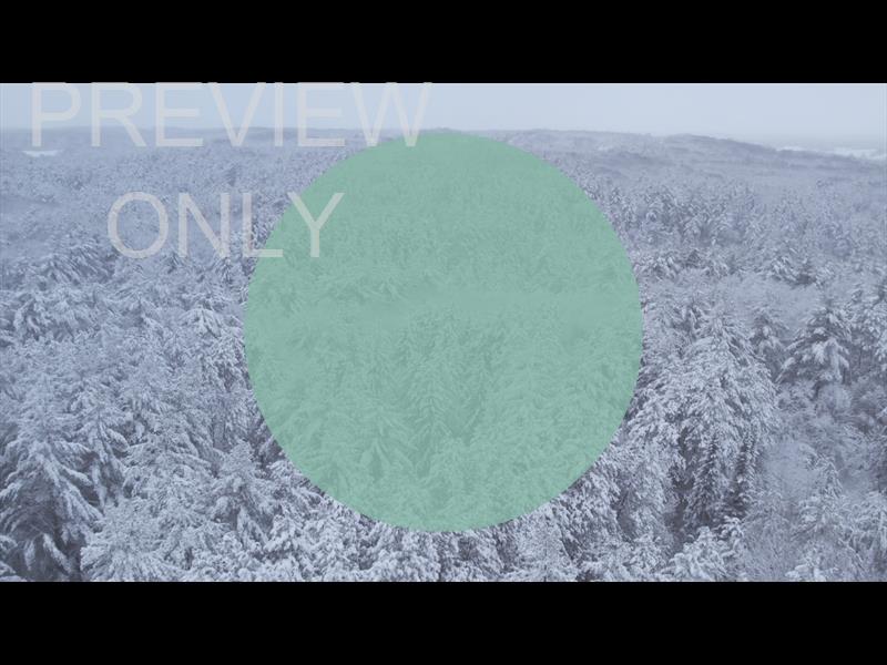 WINTER WOODS REVERSE AERIAL CIRCLE STILL