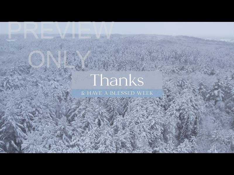 WINTER WOODS THANKS STILL