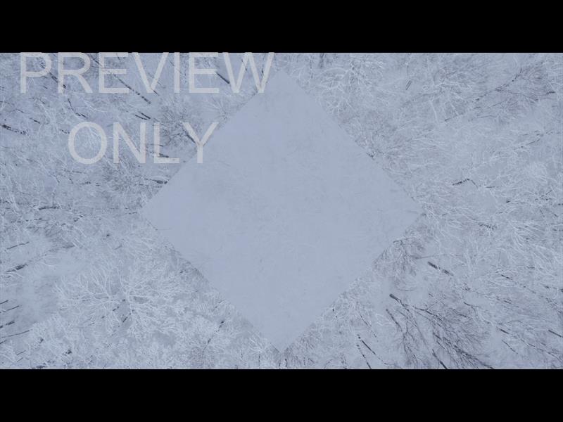 WINTER WOODS TREE TOPS DIAMOND STILL