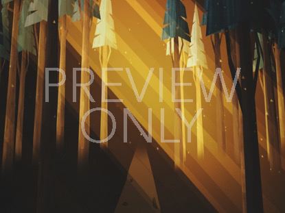 WINTER LIGHT FOREST RAYS