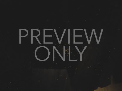 WINTER LIGHT GOLDEN DUST