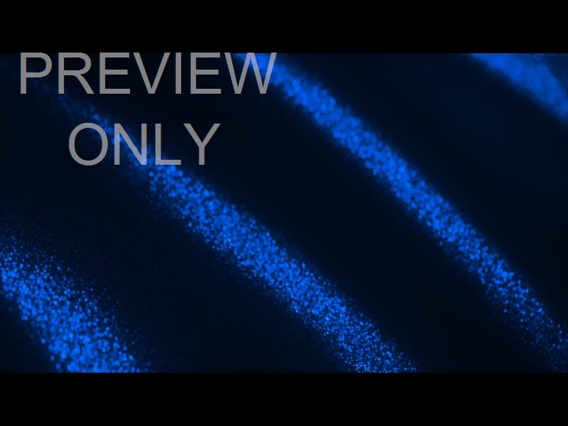 GLITTER ECHOES BLUE BLADES