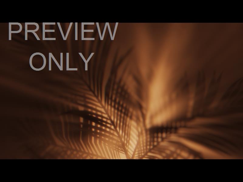 HOLY WEEK COPPER PALM STILL