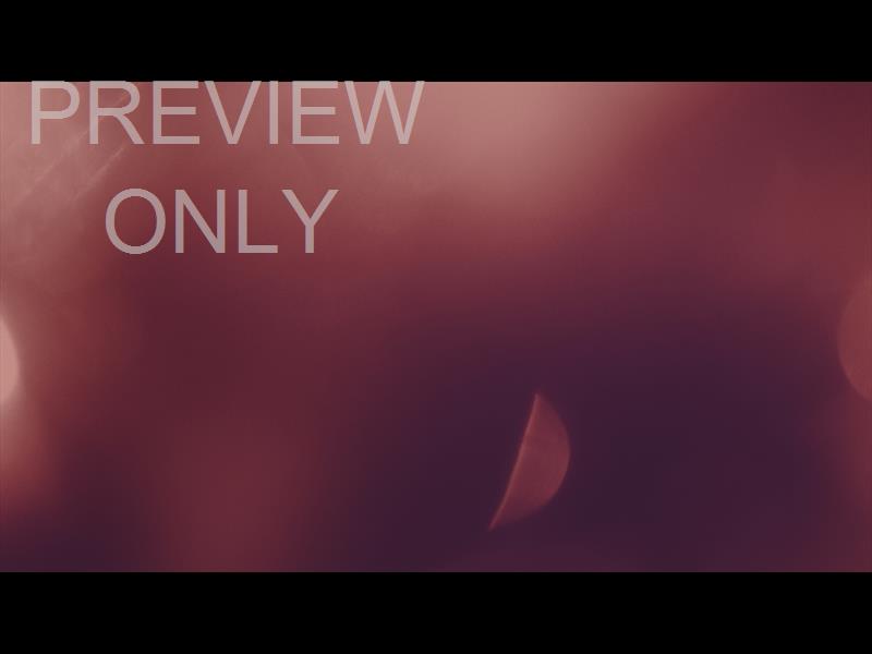 SCATTERED LIGHT WARM MEMORIES