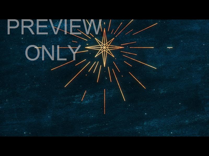 STAR OF WONDER STAR TEAL