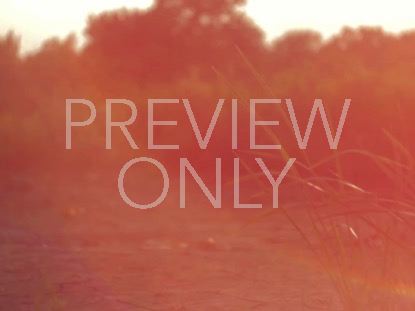 HIGH FASHION NATURE 2