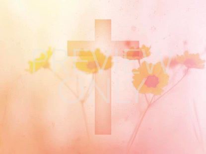 HIGH FASHION NATURE 6 WITH CROSS