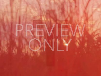 HIGH FASHION NATURE 7 WITH CROSS