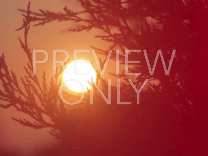 HIGH FASHION NATURE 8