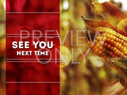 CORN SEE YOU NEXT TIME STILL