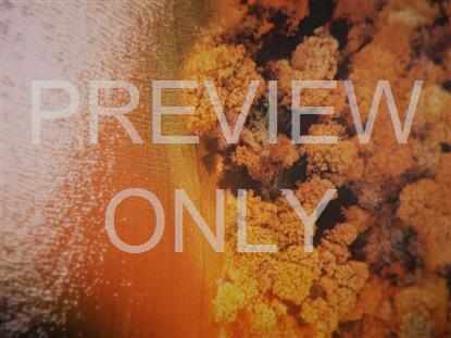 AERIAL JOURNEY 4 STILL