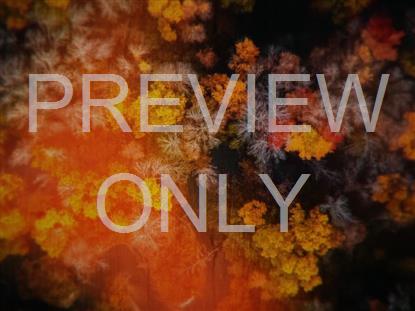 AERIAL JOURNEY 6 STILL