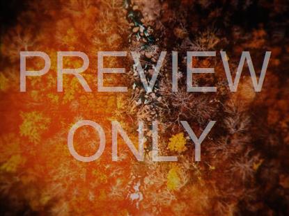 AERIAL JOURNEY 7 STILL