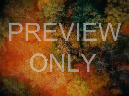 AERIAL JOURNEY 8 STILL