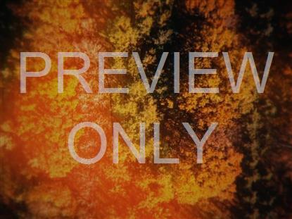 AERIAL JOURNEY 9 STILL